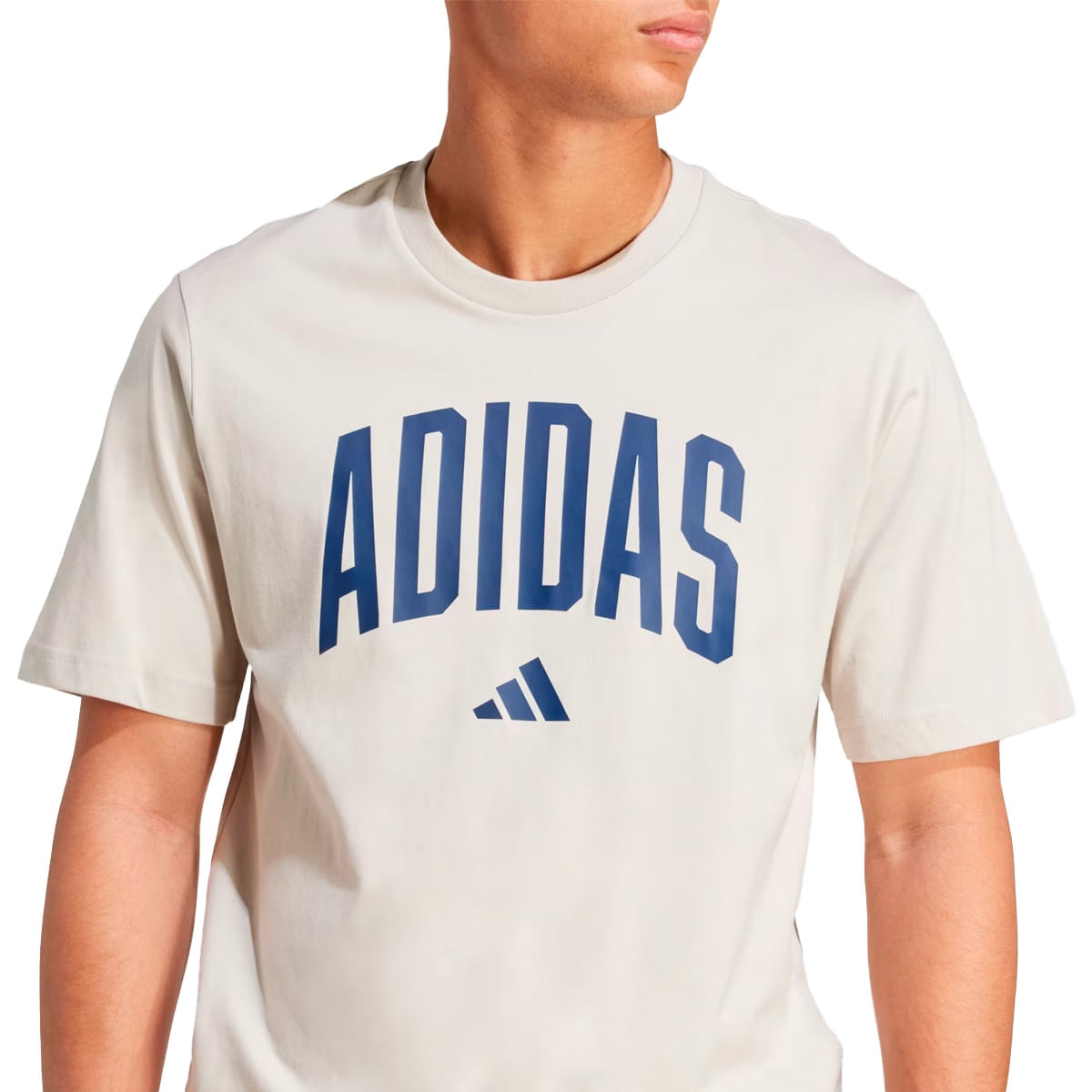 Camiseta Adidas Collegiate Masculino