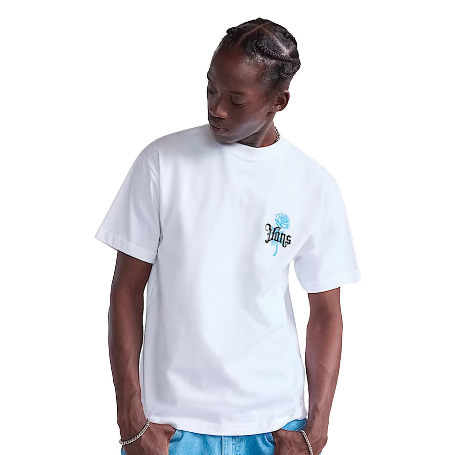 Kit Vans Sk8-Low + Camiseta Vans + Chinelo Vans — Camiseta e chinelo