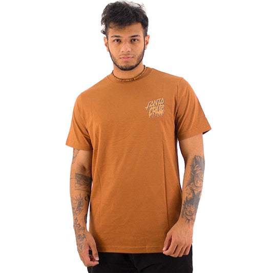Camiseta Santa Cruz Evolved Masculino