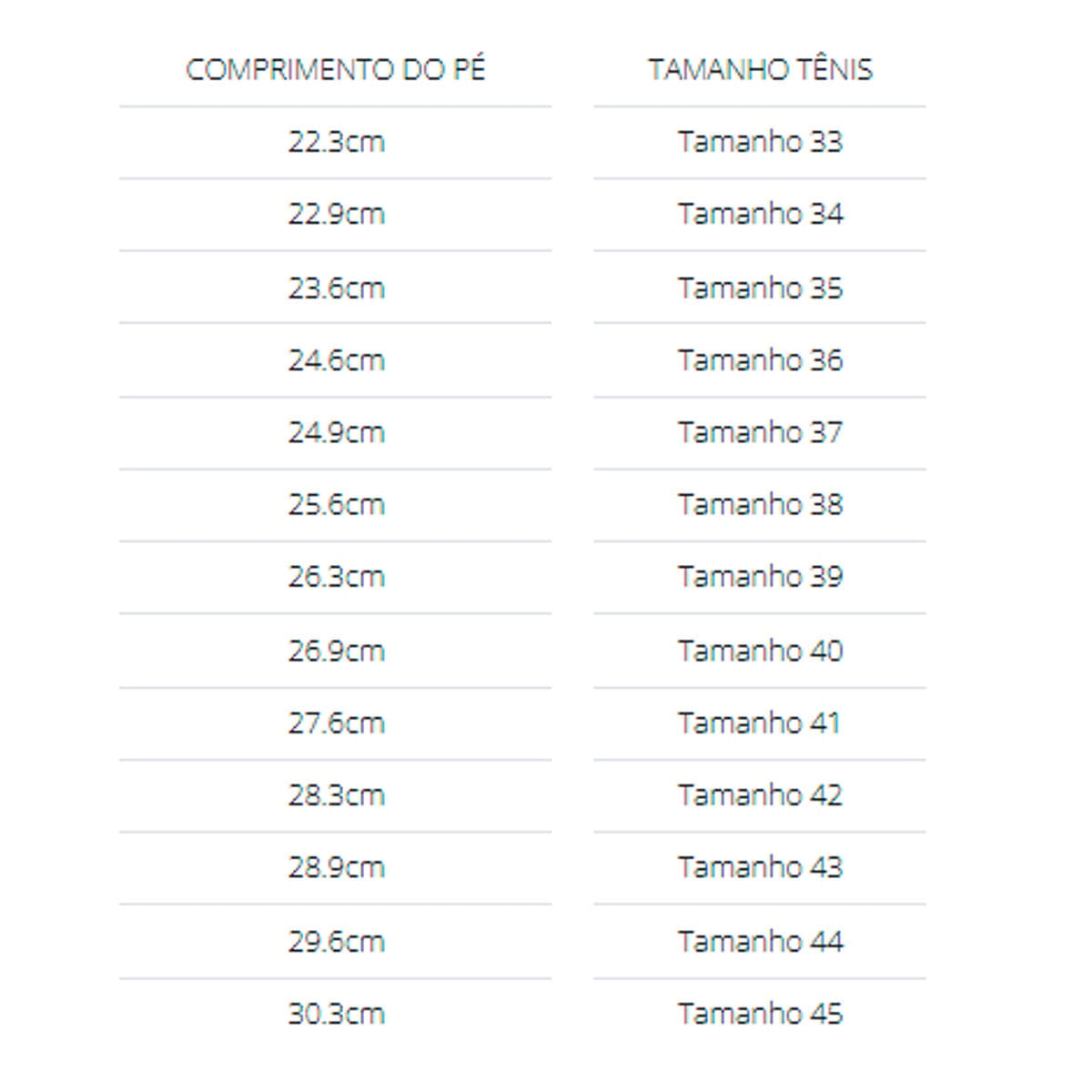 Tenis Veja V-10 Feminino